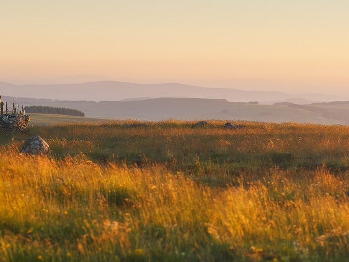 Près du Trap Haut
