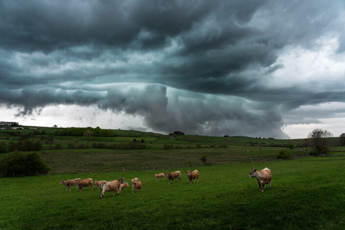 Avant l'orage