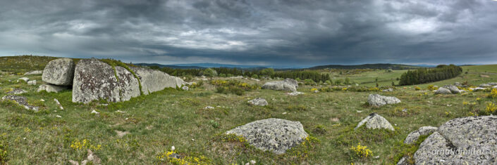Puech de Brion