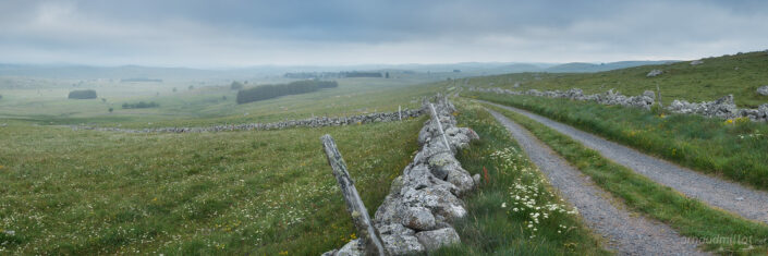 Chemin de Lous Coustats