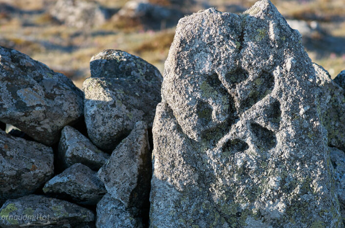 Croix de l'Ordre de Malte