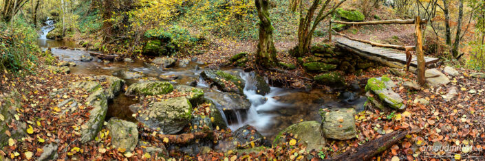 Sur le ruisseau de Rioudis vers Aurelle