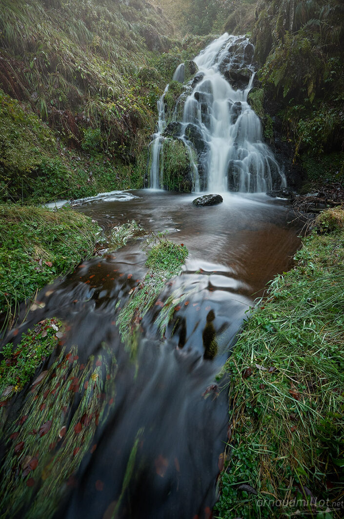 Cascade cachée en forêt