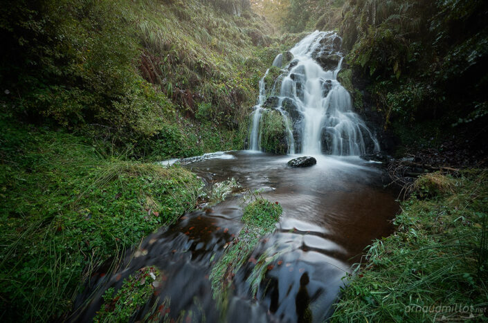 Cascade cachée en forêt