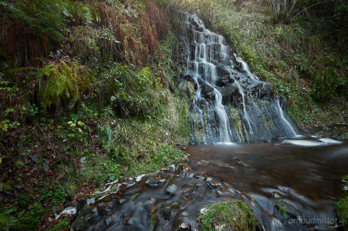 Cascade cachée en forêt