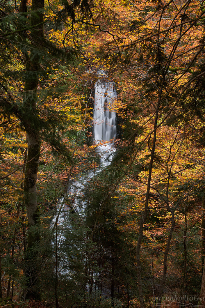 Cascade cachée en forêt