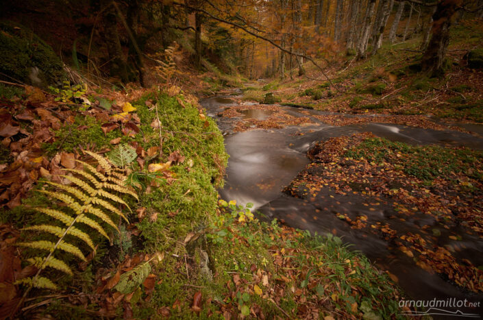 Ruisseau de Dourtigouse