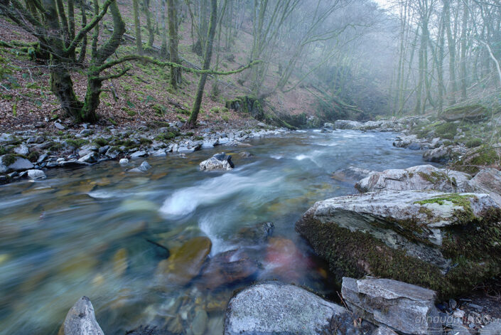 La boralde au moulin de Terral