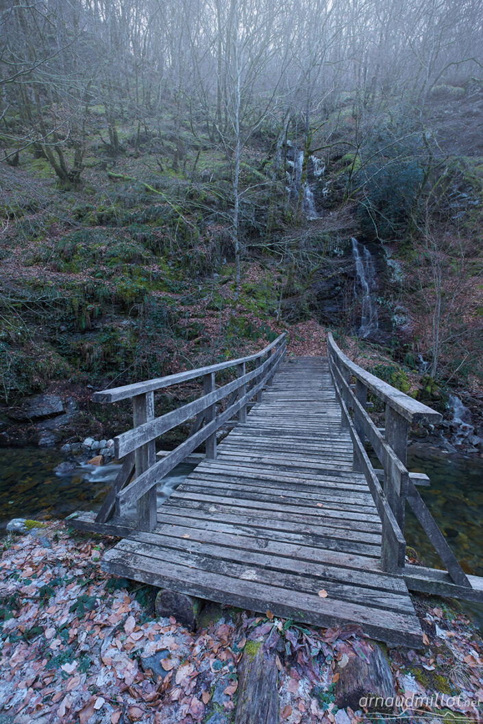 La boralde au moulin de Terral