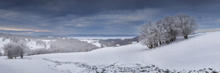 Près du buron de Alte Teste