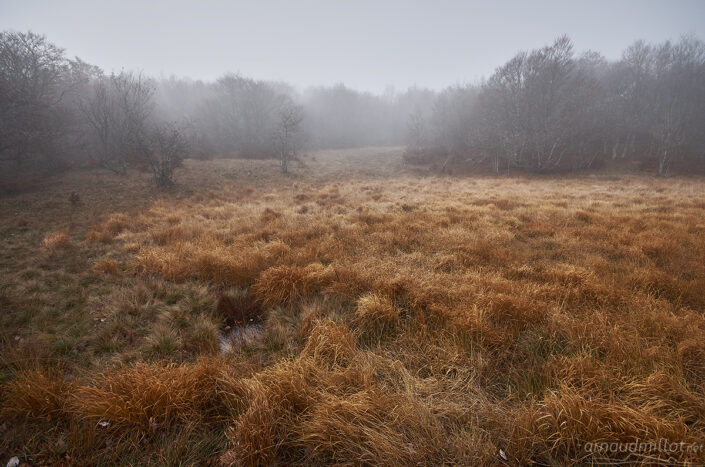 Forêt vers les Truques