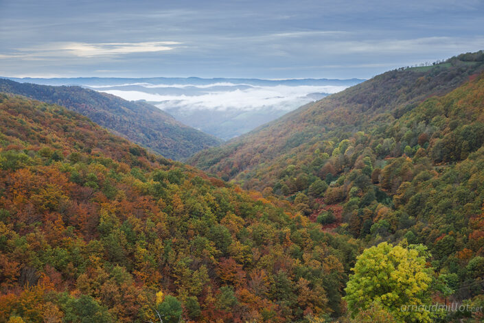 Vers les Ginestes à L'Automne