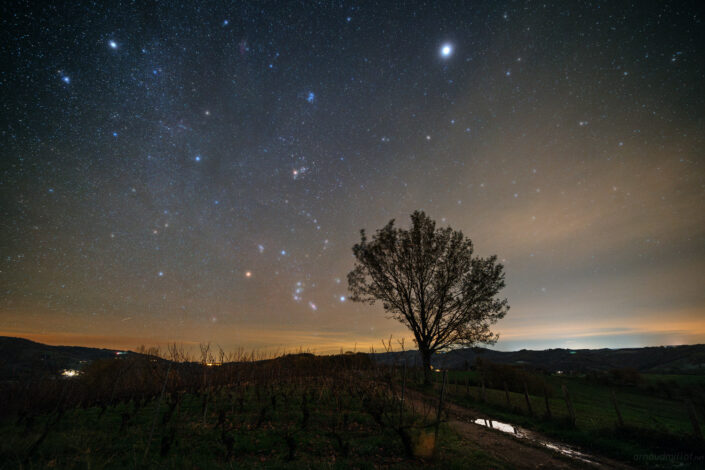 Chemin de vignes sous Orion