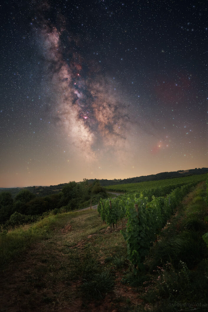 Voie Lactée au-dessus des vignes