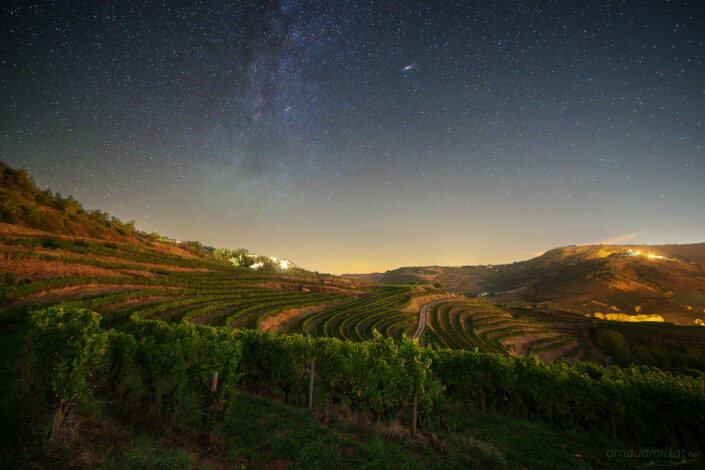 Voie Lactée et Andromede au-dessus des vignes