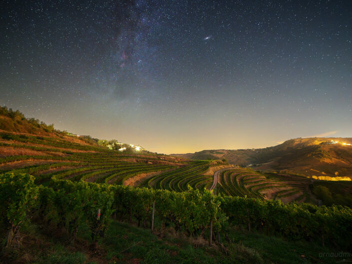 Voie Lactée et Andromede au-dessus des vignes