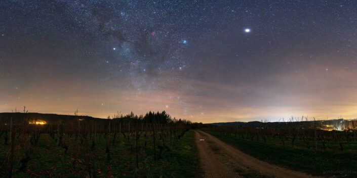Chemin de vignes sous Orion