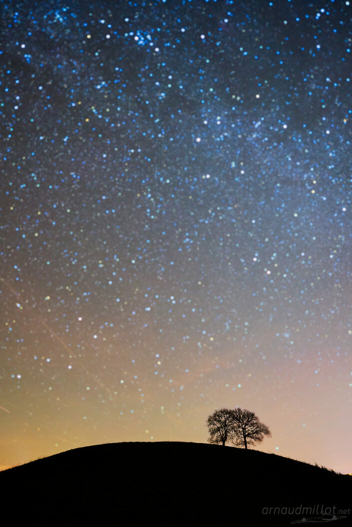 Les arbres sur la colline